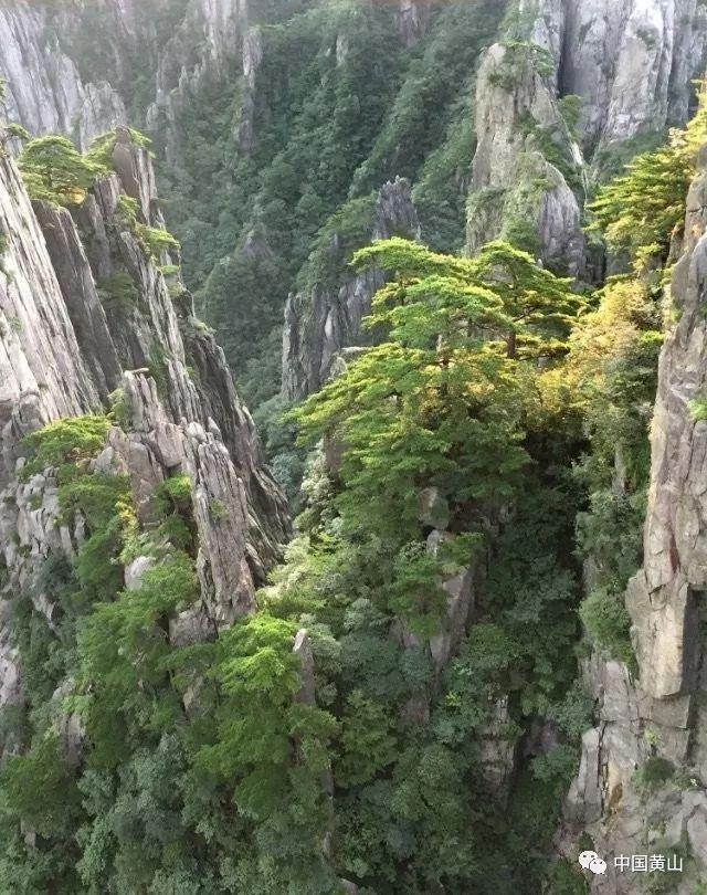 电影《热辣滚烫》发声明:警惕以本片为名的非法融资