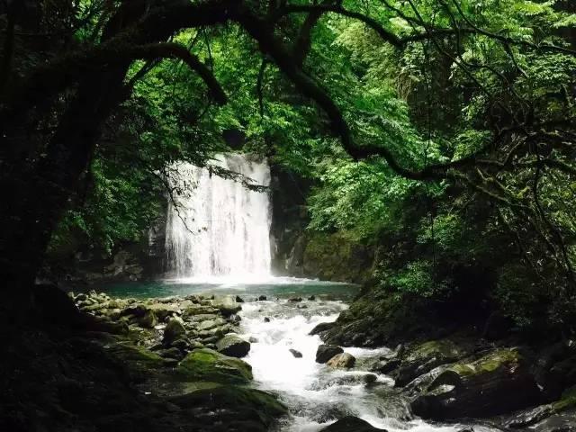 金默玉:大清最后一位格格,川岛芳子的亲妹妹,活到2014年